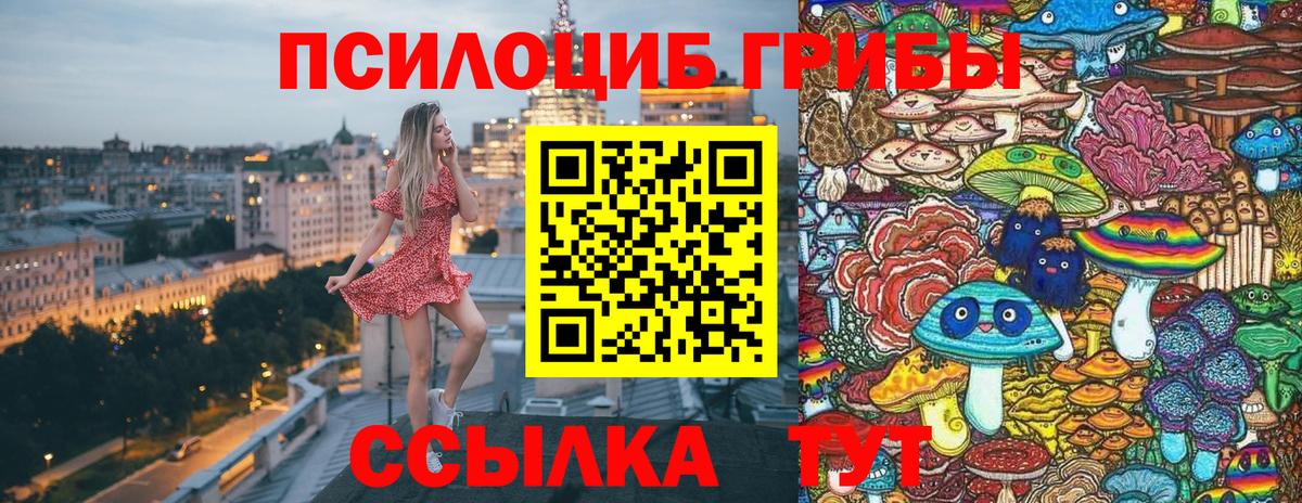 Псилоцибиновые грибы Magic Shrooms  Вход с VPN  закладка  Старая Купавна 